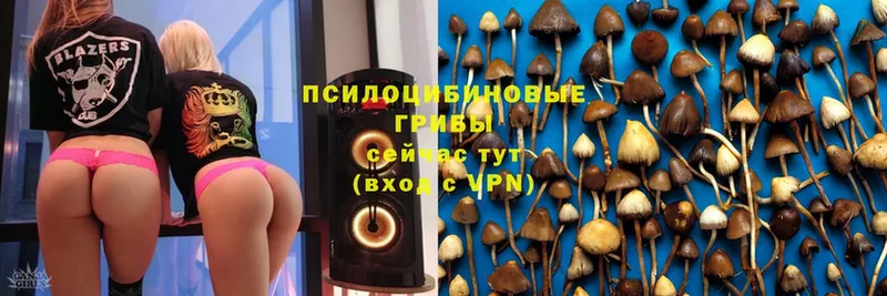 Псилоцибиновые грибы Psilocybine cubensis Верхотурье